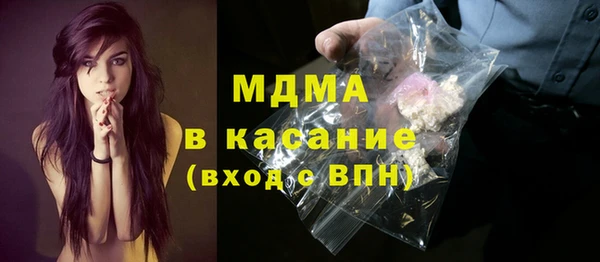 индика Гусев