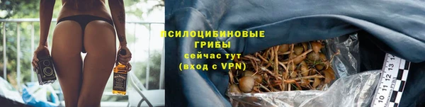 прущий лед Вязьма