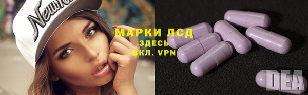 стаф Тутаев