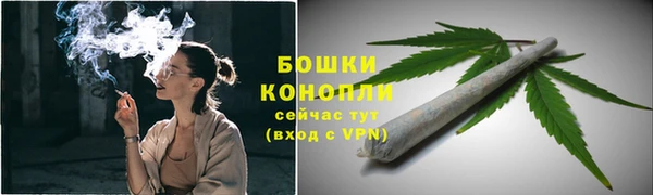 прущий лед Вязьма