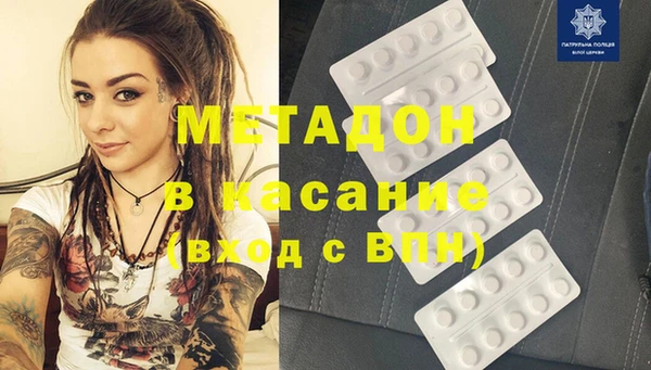 индика Гусев