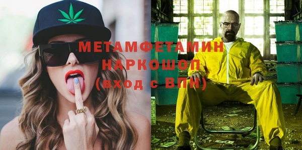 индика Гусев