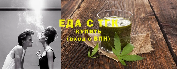 индика Гусев