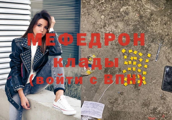 индика Гусев