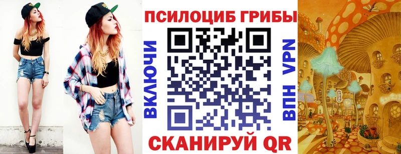 Псилоцибиновые грибы GOLDEN TEACHER  Заозёрный 